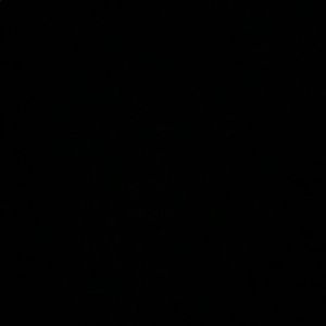 Meet your Posher, Joanie